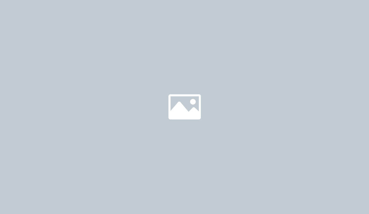 Le mandat de recherche