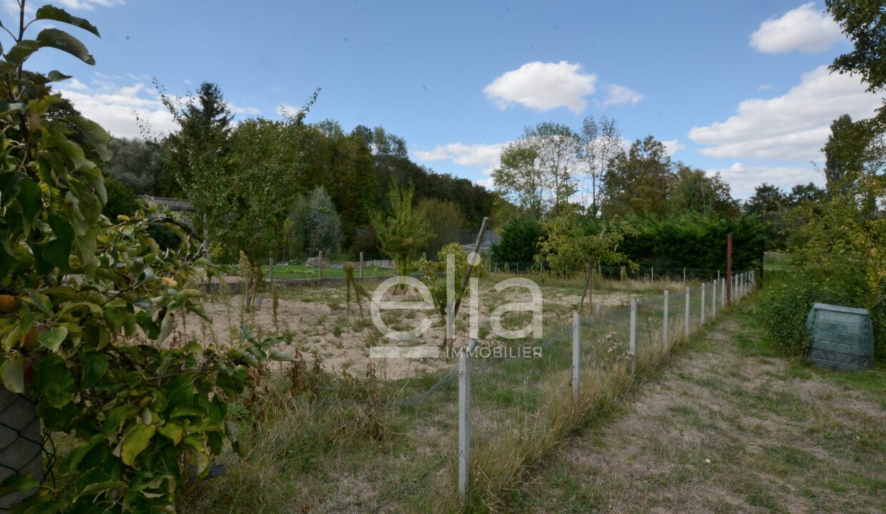 Site 17 - terrain