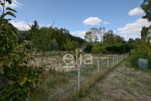 Site 17 - terrain